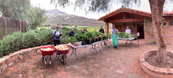 Rancho La Puerta's Garden